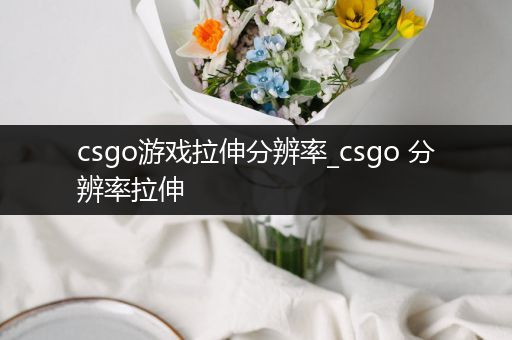 csgo游戏拉伸分辨率_csgo 分辨率拉伸