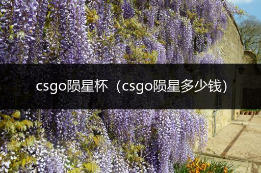 csgo陨星杯（csgo陨星多少钱）