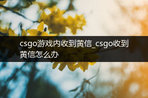 csgo游戏内收到黄信_csgo收到黄信怎么办