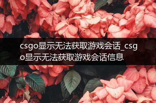csgo显示无法获取游戏会话_csgo显示无法获取游戏会话信息