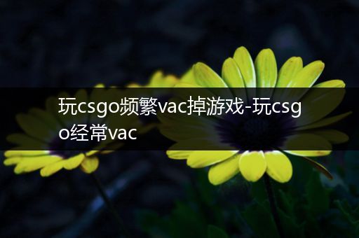 玩csgo频繁vac掉游戏-玩csgo经常vac