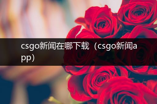 csgo新闻在哪下载（csgo新闻app）