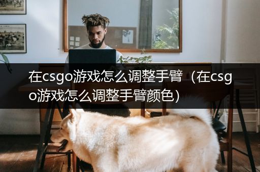 在csgo游戏怎么调整手臂（在csgo游戏怎么调整手臂颜色）
