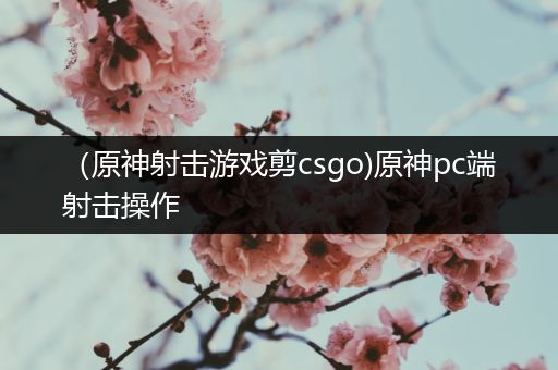 （原神射击游戏剪csgo)原神pc端射击操作