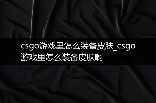 csgo游戏里怎么装备皮肤_csgo游戏里怎么装备皮肤啊