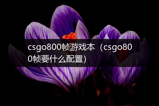 csgo800帧游戏本（csgo800帧要什么配置）