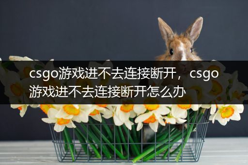 csgo游戏进不去连接断开，csgo游戏进不去连接断开怎么办