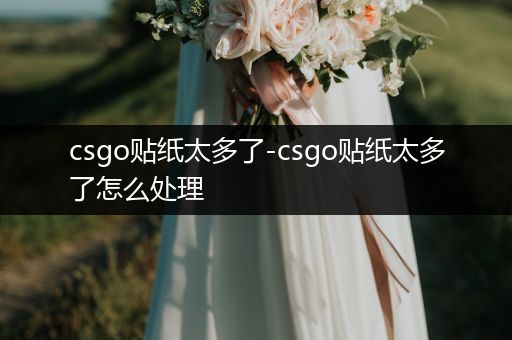 csgo贴纸太多了-csgo贴纸太多了怎么处理