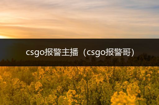csgo报警主播（csgo报警哥）