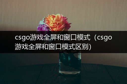 csgo游戏全屏和窗口模式（csgo游戏全屏和窗口模式区别）