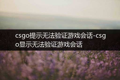 csgo提示无法验证游戏会话-csgo显示无法验证游戏会话