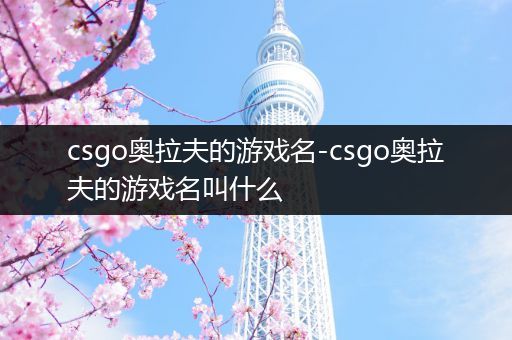 csgo奥拉夫的游戏名-csgo奥拉夫的游戏名叫什么