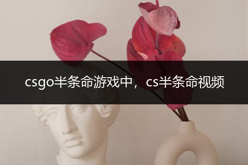 csgo半条命游戏中，cs半条命视频