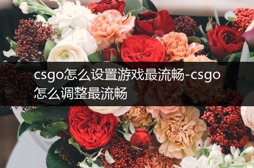 csgo怎么设置游戏最流畅-csgo怎么调整最流畅
