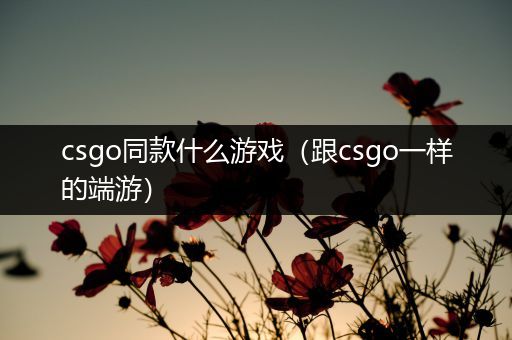 csgo同款什么游戏（跟csgo一样的端游）
