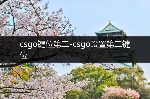 csgo键位第二-csgo设置第二键位