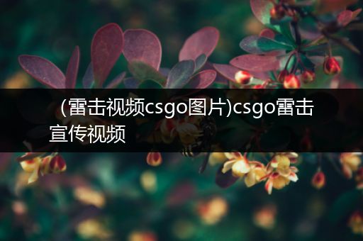 （雷击视频csgo图片)csgo雷击宣传视频