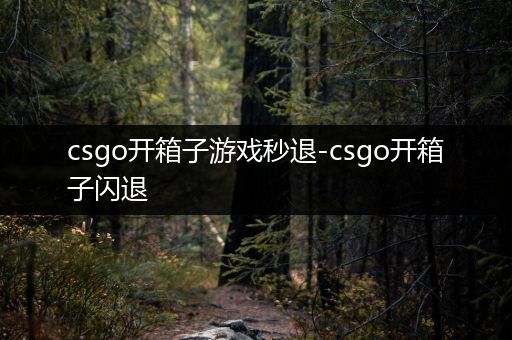 csgo开箱子游戏秒退-csgo开箱子闪退