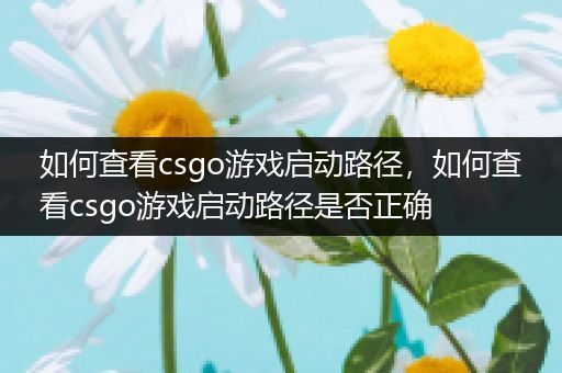 如何查看csgo游戏启动路径，如何查看csgo游戏启动路径是否正确