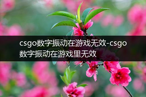 csgo数字振动在游戏无效-csgo数字振动在游戏里无效