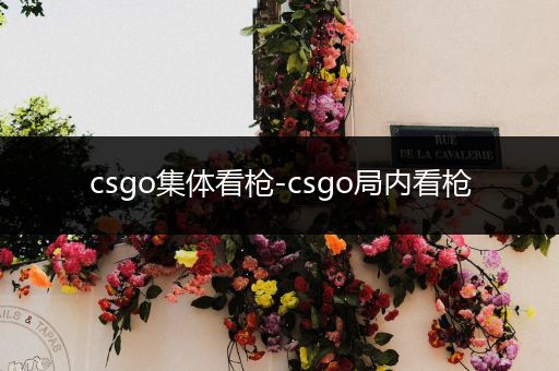 csgo集体看枪-csgo局内看枪
