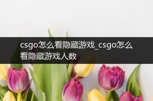 csgo怎么看隐藏游戏_csgo怎么看隐藏游戏人数