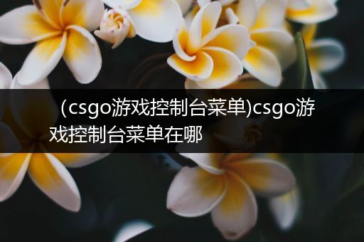 （csgo游戏控制台菜单)csgo游戏控制台菜单在哪