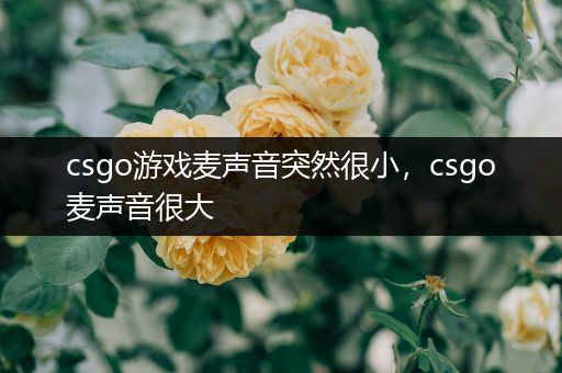 csgo游戏麦声音突然很小，csgo麦声音很大