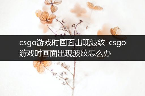 csgo游戏时画面出现波纹-csgo游戏时画面出现波纹怎么办