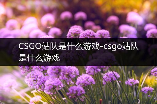 CSGO站队是什么游戏-csgo站队是什么游戏