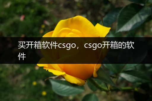 买开箱软件csgo，csgo开箱的软件