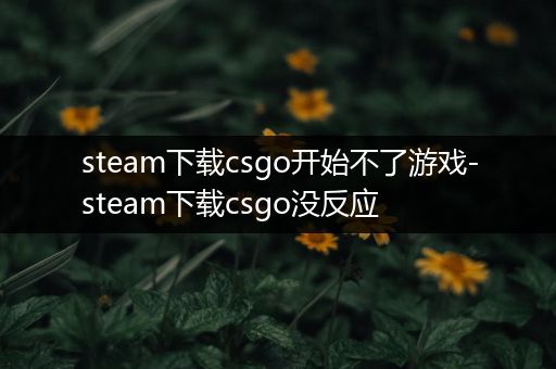 steam下载csgo开始不了游戏-steam下载csgo没反应