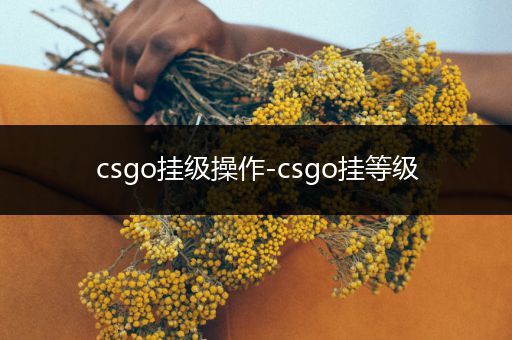 csgo挂级操作-csgo挂等级