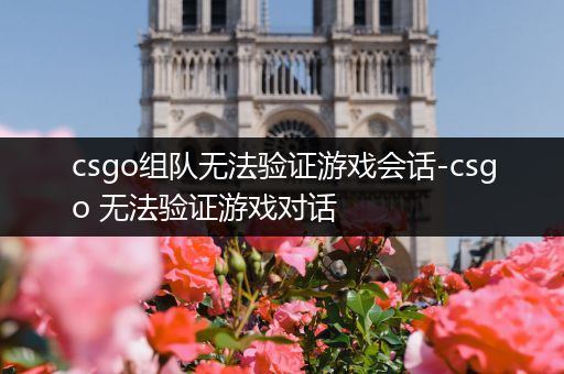 csgo组队无法验证游戏会话-csgo 无法验证游戏对话