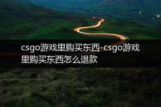 csgo游戏里购买东西-csgo游戏里购买东西怎么退款