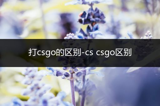 打csgo的区别-cs csgo区别