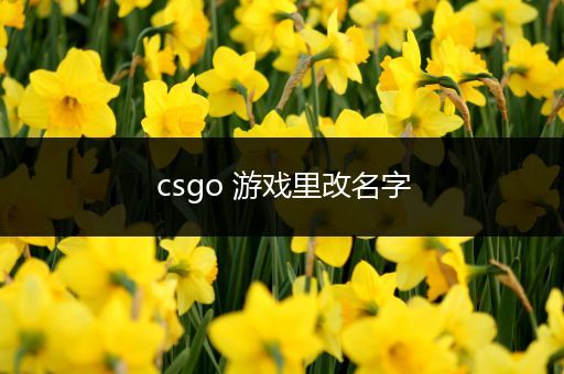 csgo 游戏里改名字