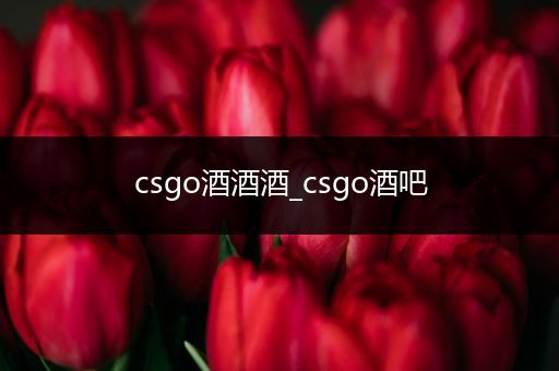 csgo酒酒酒_csgo酒吧