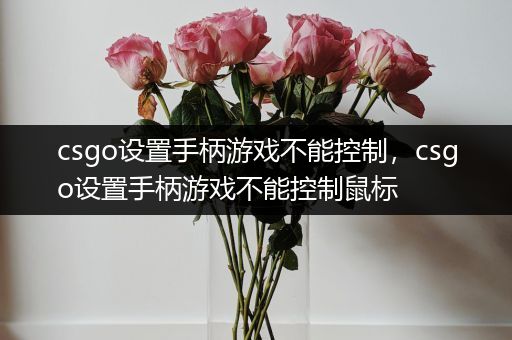 csgo设置手柄游戏不能控制，csgo设置手柄游戏不能控制鼠标