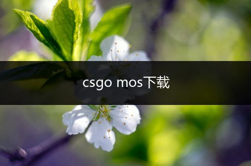 csgo mos下载