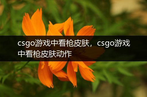 csgo游戏中看枪皮肤，csgo游戏中看枪皮肤动作