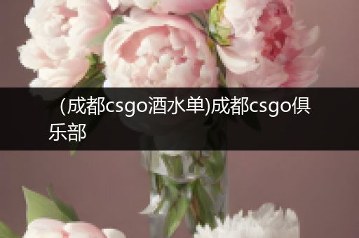 （成都csgo酒水单)成都csgo俱乐部
