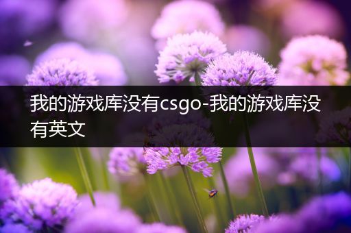 我的游戏库没有csgo-我的游戏库没有英文