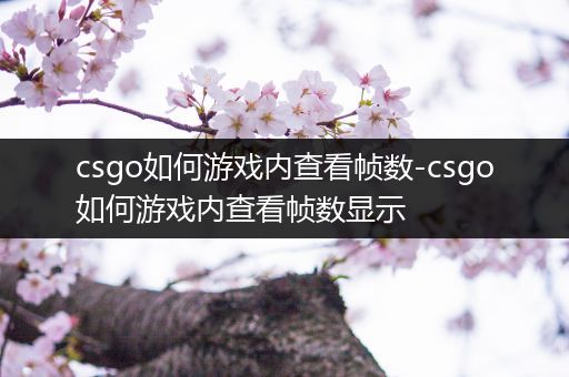 csgo如何游戏内查看帧数-csgo如何游戏内查看帧数显示