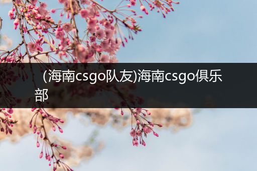 （海南csgo队友)海南csgo俱乐部