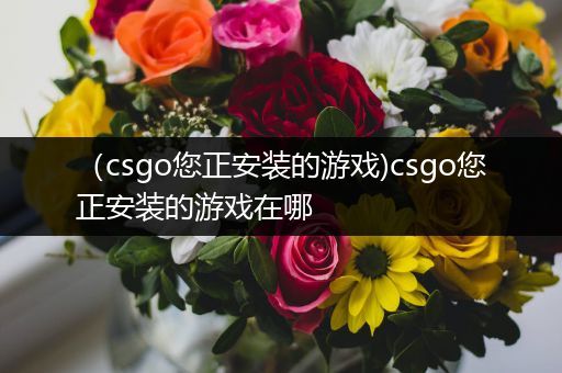（csgo您正安装的游戏)csgo您正安装的游戏在哪