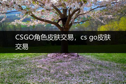 CSGO角色皮肤交易，cs go皮肤交易