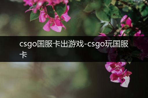 csgo国服卡出游戏-csgo玩国服卡
