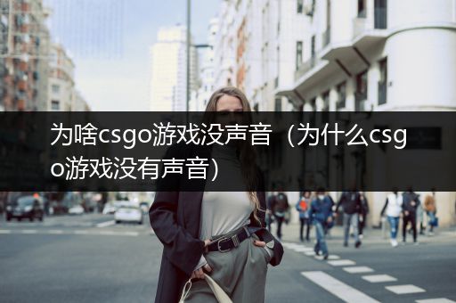 为啥csgo游戏没声音（为什么csgo游戏没有声音）