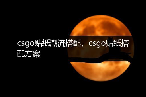 csgo贴纸潮流搭配，csgo贴纸搭配方案